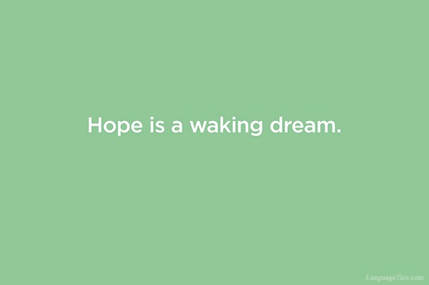 Hope is a waking dream.