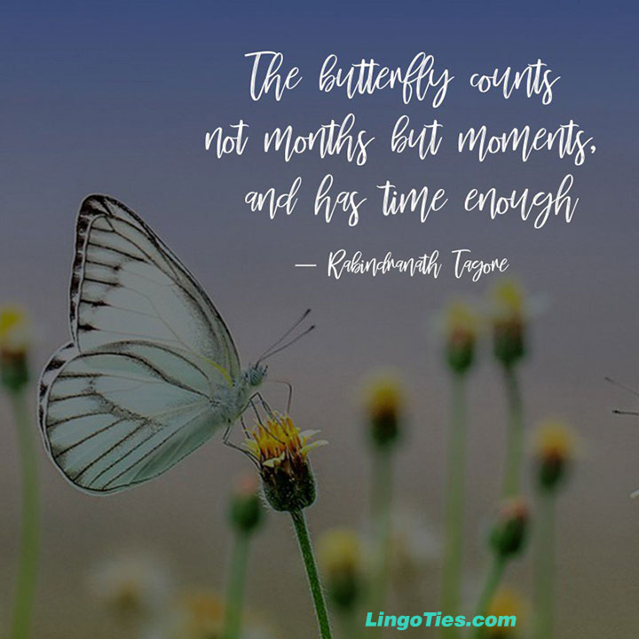 The butterfly counts not months but moments, and has time enough.