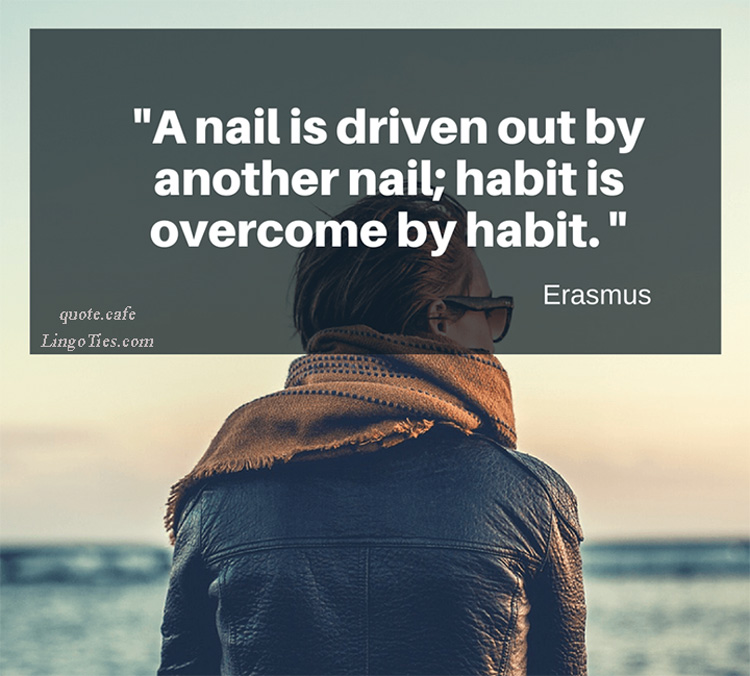 A nail is driven out by nail; habit is overcome by habit.