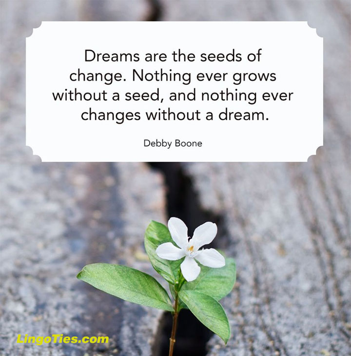 Dreams are the seeds of change. Nothing ever grows without a seed, and nothing ever changes without a dream.