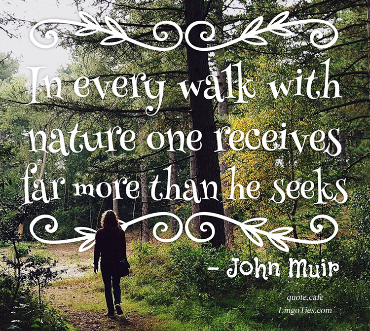 quote In every walk with nature one receives far more than he