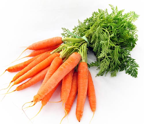 carrot - هویج
