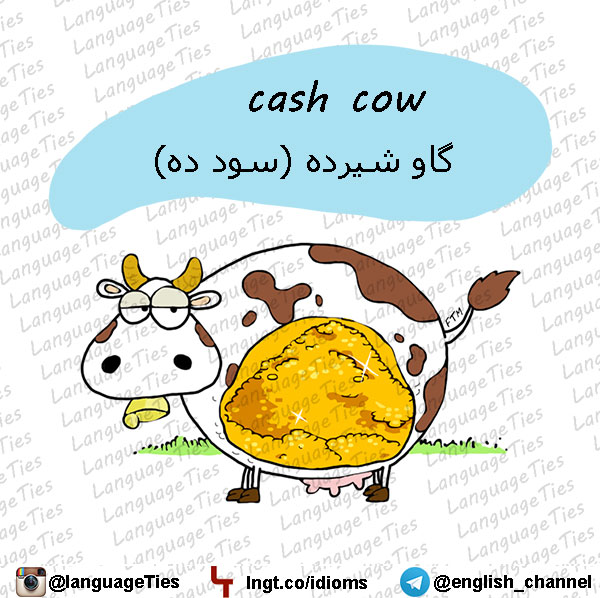 cash cow - گاو شیرده