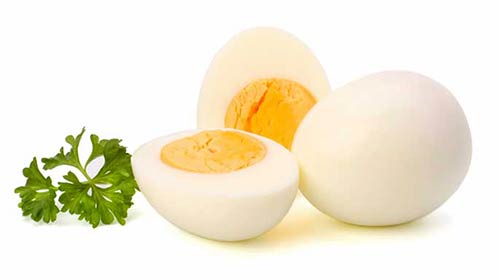 egg - تخم مرغ
