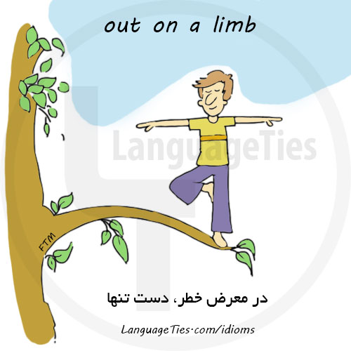 در معرض خطر - out on a limb