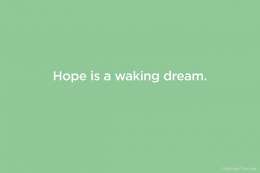 Hope is a waking dream.