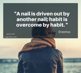 A nail is driven out by nail; habit is overcome by habit.