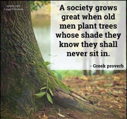 A society grows great when old men plant trees whose shade they know they shall never sit in. 