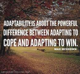 Adaptability is about the powerful difference between adapting to cope and adapting to win.