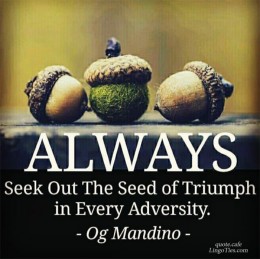Always seek out the seeds of triumph in every adversity.