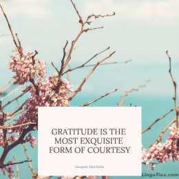 Gratitude is the most exquisite form of courtesy.