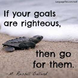 If your goals are righteous, then go for them.