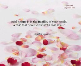 Real beauty is in the fragility of your petals. A rose that never wilts isn’t a rose at all. 