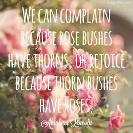 We can complain because rose bushes have thorns or rejoice because thorns have roses.